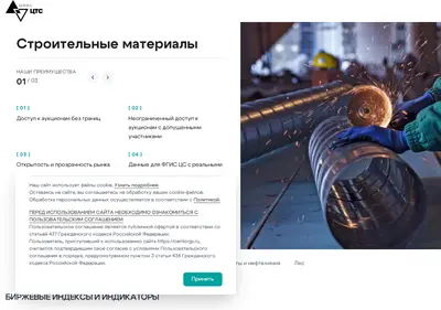 Снимок главной страницы centorgs.ru