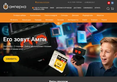 Снимок главной страницы amperka.ru