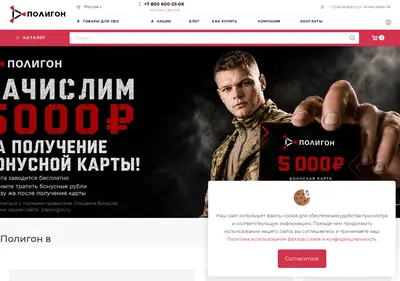 Снимок главной страницы 24poligon.ru