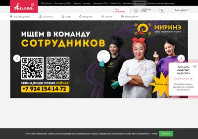 Снимок главной страницы alleym.ru