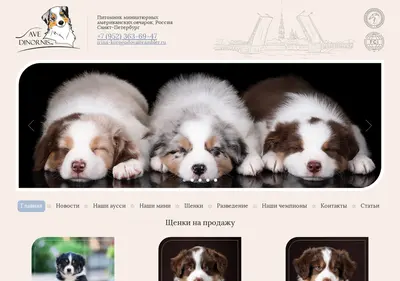 Снимок главной страницы avedinornis.ru