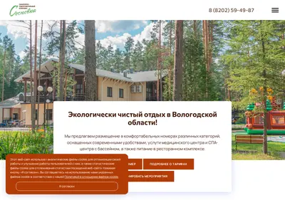 Снимок главной страницы baza-sosnovka.ru