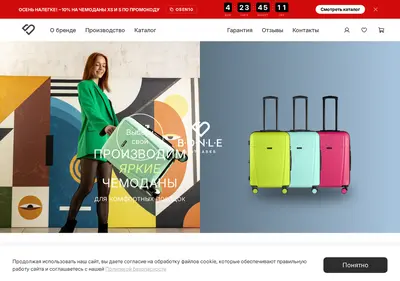 Снимок главной страницы bonle.ru