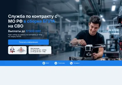Снимок главной страницы bpla-sborka.ru