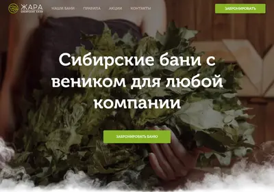 Снимок главной страницы banizhara.ru