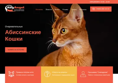 Снимок главной страницы abyangel.ru