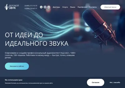 Снимок главной страницы business-sound.ru
