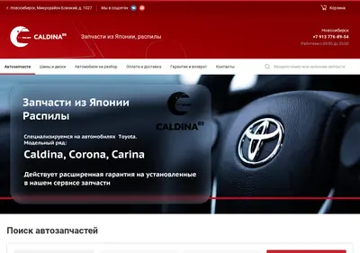 Снимок главной страницы caldina89.ru