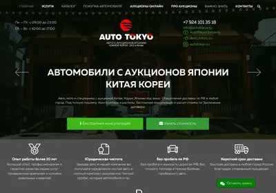 Снимок главной страницы autotokyo.su