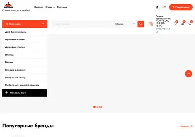 Снимок главной страницы sanitaria.su