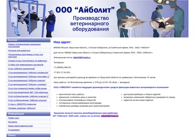 Снимок главной страницы aibolit38.ru