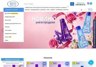 Снимок главной страницы reni.su