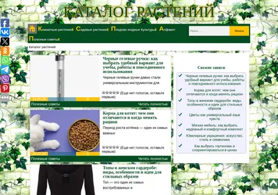 Снимок главной страницы chvetochki.ru