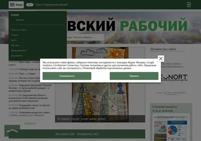 Снимок главной страницы berinfo.ru