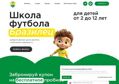 Снимок главной страницы brazilec.ru