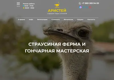 Снимок главной страницы aristei-park.ru