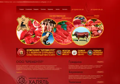 Снимок главной страницы brembull.ru