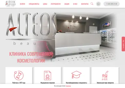 Снимок главной страницы alteos-nsk.ru