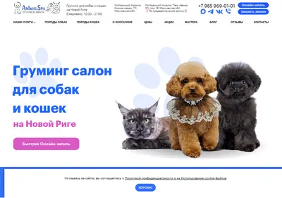 Снимок главной страницы animalspa.ru
