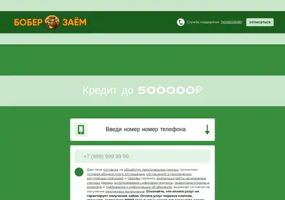 Снимок главной страницы bober-zaim.ru