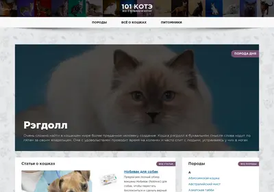 Снимок главной страницы 101kote.ru