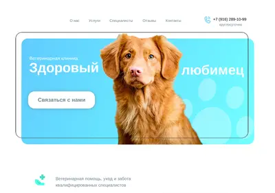 Снимок главной страницы bolsoivet.ru