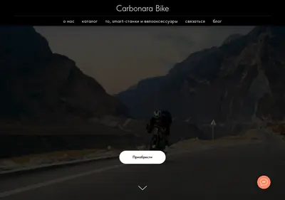 Снимок главной страницы carbonarapro.ru