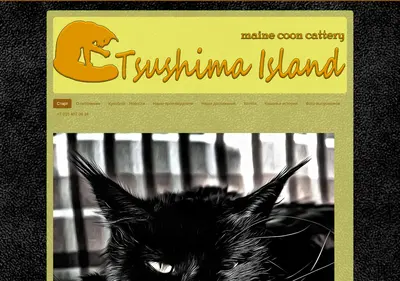 Снимок главной страницы blackcoon.ru