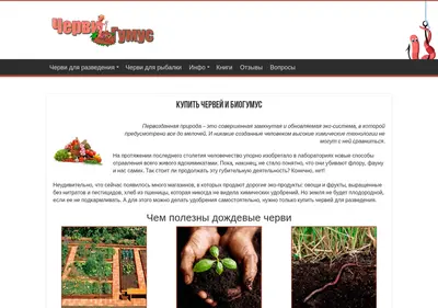 Снимок главной страницы chervigumus.ru