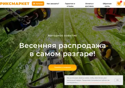 Снимок главной страницы bricksmarket.ru