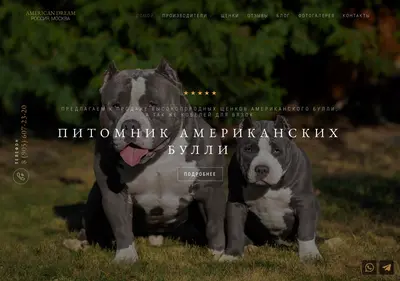 Снимок главной страницы americandreambully.ru