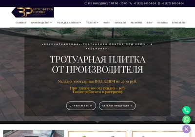 Снимок главной страницы bruschatka-profi.ru