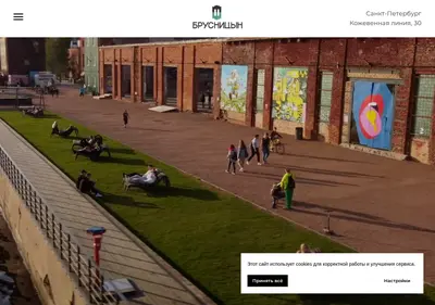 Снимок главной страницы brusnitsyn.spb.ru