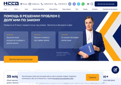 Снимок главной страницы nssd.su