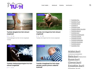 Снимок главной страницы tush.su