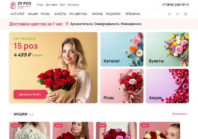 Снимок главной страницы 29roz.ru