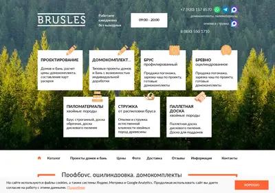 Снимок главной страницы brusles.ru