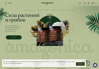 Снимок главной страницы amazonica.ru