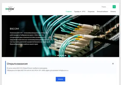 Снимок главной страницы bscom.ru