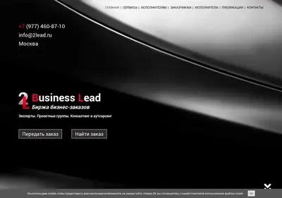 Снимок главной страницы 2lead.ru