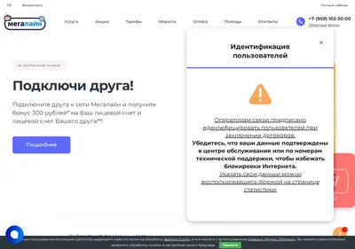 Снимок главной страницы megalink.net.ru