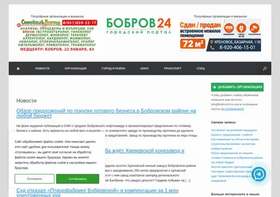 Снимок главной страницы bobrov24.ru