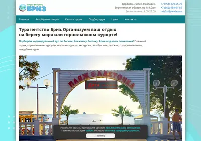 Снимок главной страницы briz36.ru