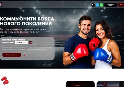 Снимок главной страницы box-rostov.ru