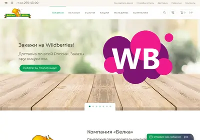 Снимок главной страницы belkasamara.ru