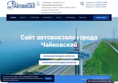 Снимок главной страницы avchaik.ru