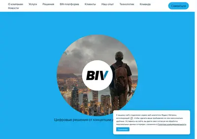 Снимок главной страницы bivgroup.ru