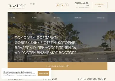 Снимок главной страницы basinn.ru