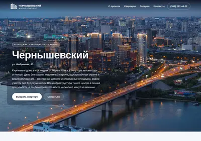 Снимок главной страницы chernyshevsky-nsk.ru