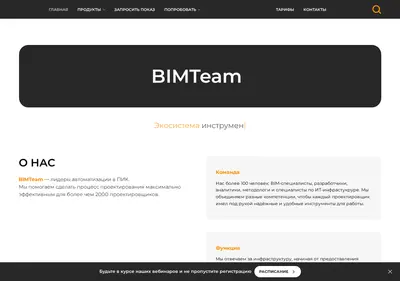 Снимок главной страницы bimteam.ru
